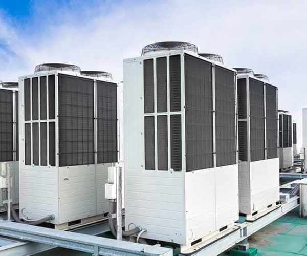 WhatsApp Image 2024-04-25 at 8.35.25 a. m.